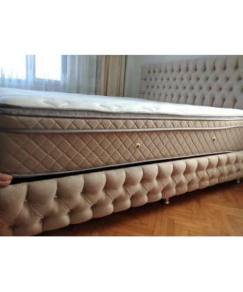 Zarif Seti Baza ve Başlık