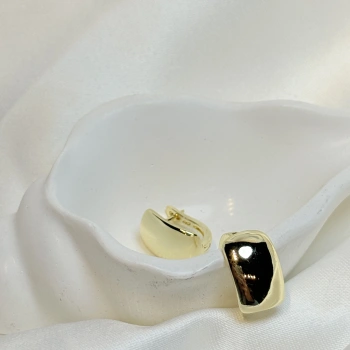 Gold Rengi Basic Model Kadın CM küpe