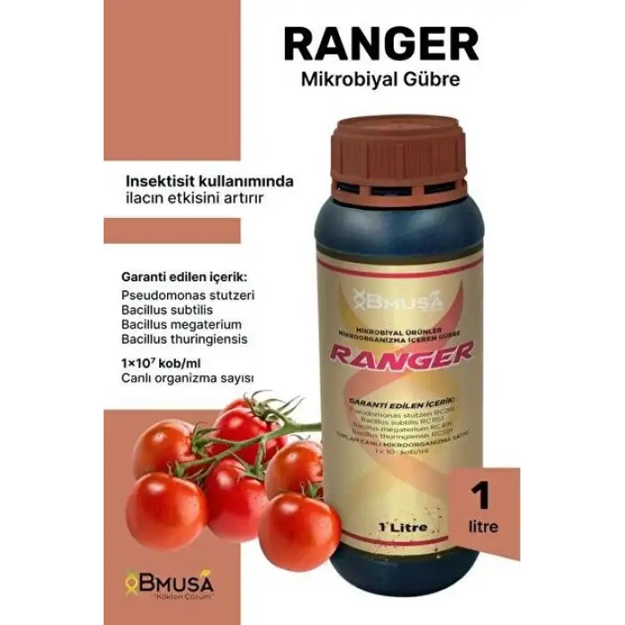 BMusa Ranger 1 LT