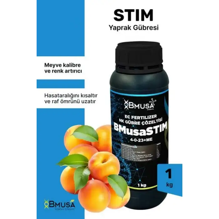 BMusa Stım 1 LT