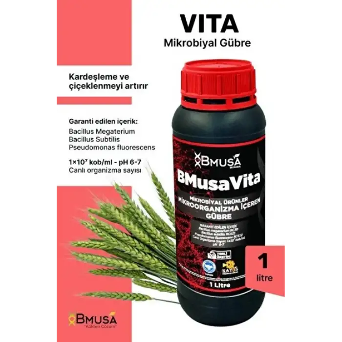 BMusa Vita1 LT