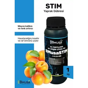 BMusa Stım 1 LT