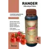 BMusa Ranger 1 LT
