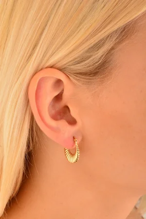 Cebeci 14 Ayar Halka Altın Küpe