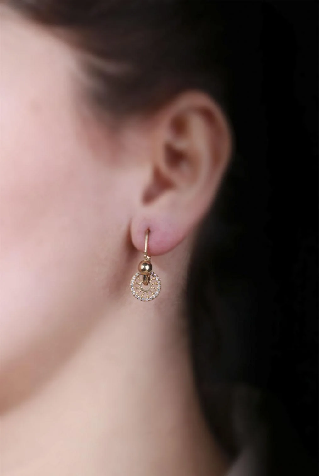 Plaka Çengel Altın Küpe