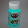 Rich 3002 Natural Turkuaz Karanlıkta Parlayan Hayalet Boya 50 cc