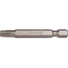 Bits Uç T30 5 cm Buldex Vida İçin Uygun