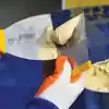 Dekor 051 Oto Ispatulası