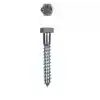 Ennalbur Trifon Vida 8X80 mm (5 Adet)