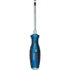 Bosch 5,5X100 Düz Tornavida
