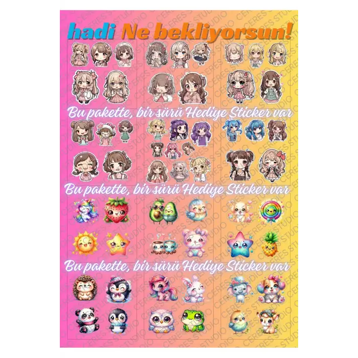 Şeffaf Kawaii Sticker Etiket