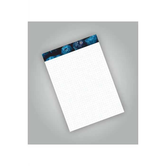 Fruit Series Not Defterleri | Notepad | Bloknot | A5 (14x20cm) 50 Sayfa Not Defteri