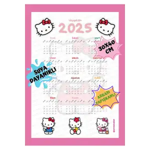 2025 Takvim - Kuromi - Hello Kitty - Harry Potter - ARKASI YAPIŞKANLIDIR