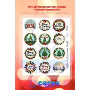 Yılbaşı Sticker, Mutlu Yıllar, Marry Chrsitmas Seti, 12 Adet (1 sayfa)