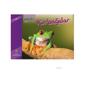 Bir Zamanlar Korkardım - Kurbağalar