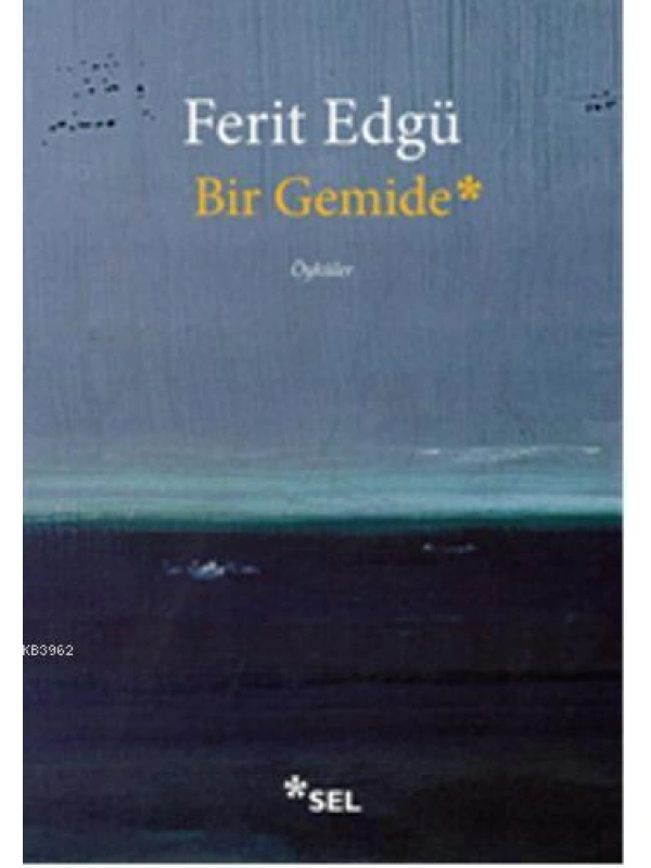 Bir Gemide