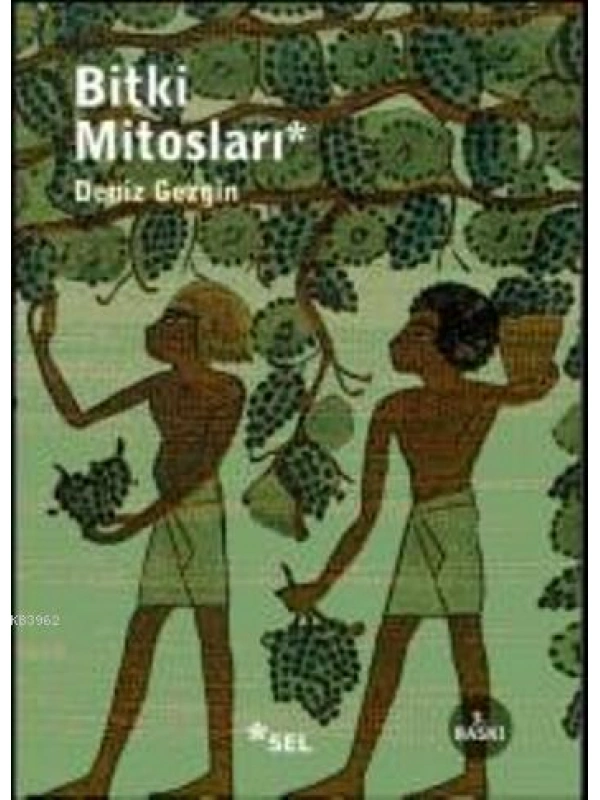 Bitki Mitosları