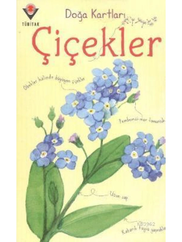 Doğa Kartları - Çiçekler