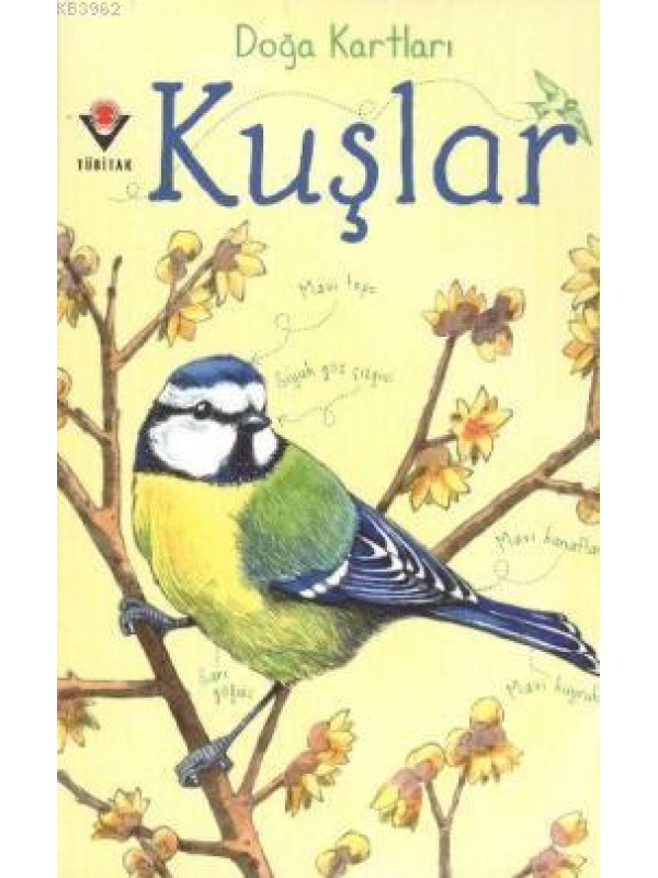 Doğa Kartları - Kuşlar