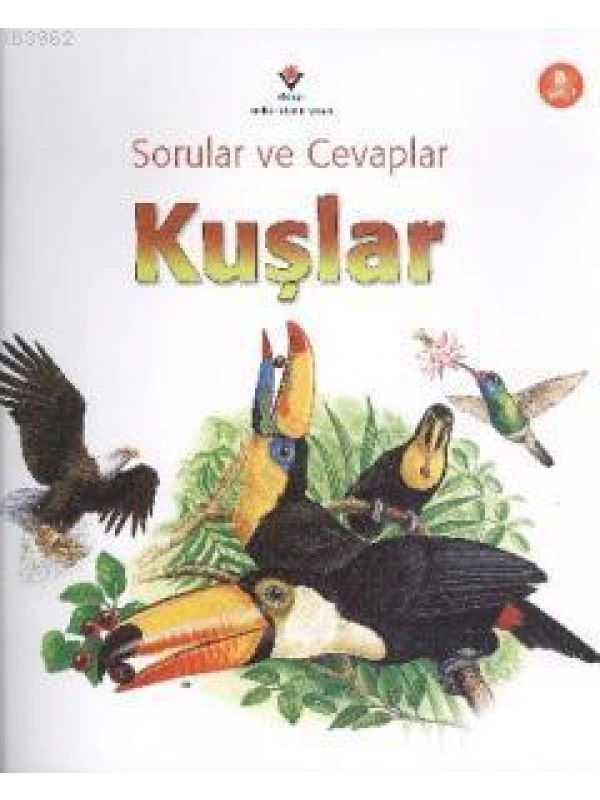 Sorular ve Cevaplar - Kuşlar