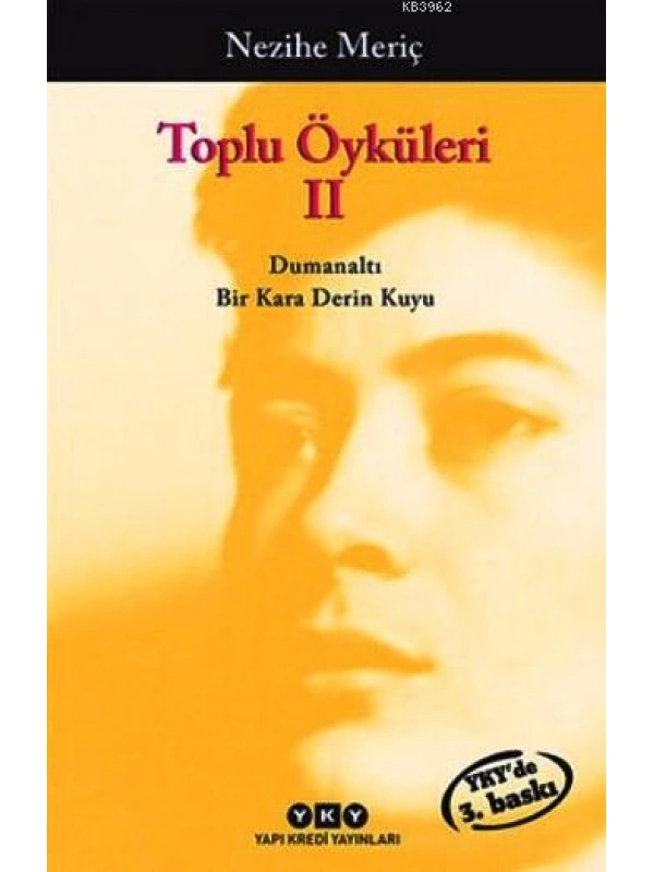 Toplu Öyküleri 2; Bütün Yapıtlarına Doğru