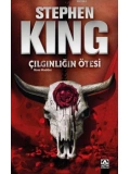 Çılgınlığın Ötesi