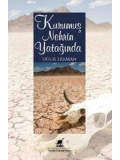 Kurumuş Nehrin Yatağında
