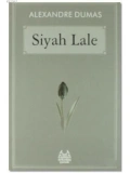 Siyah Lale