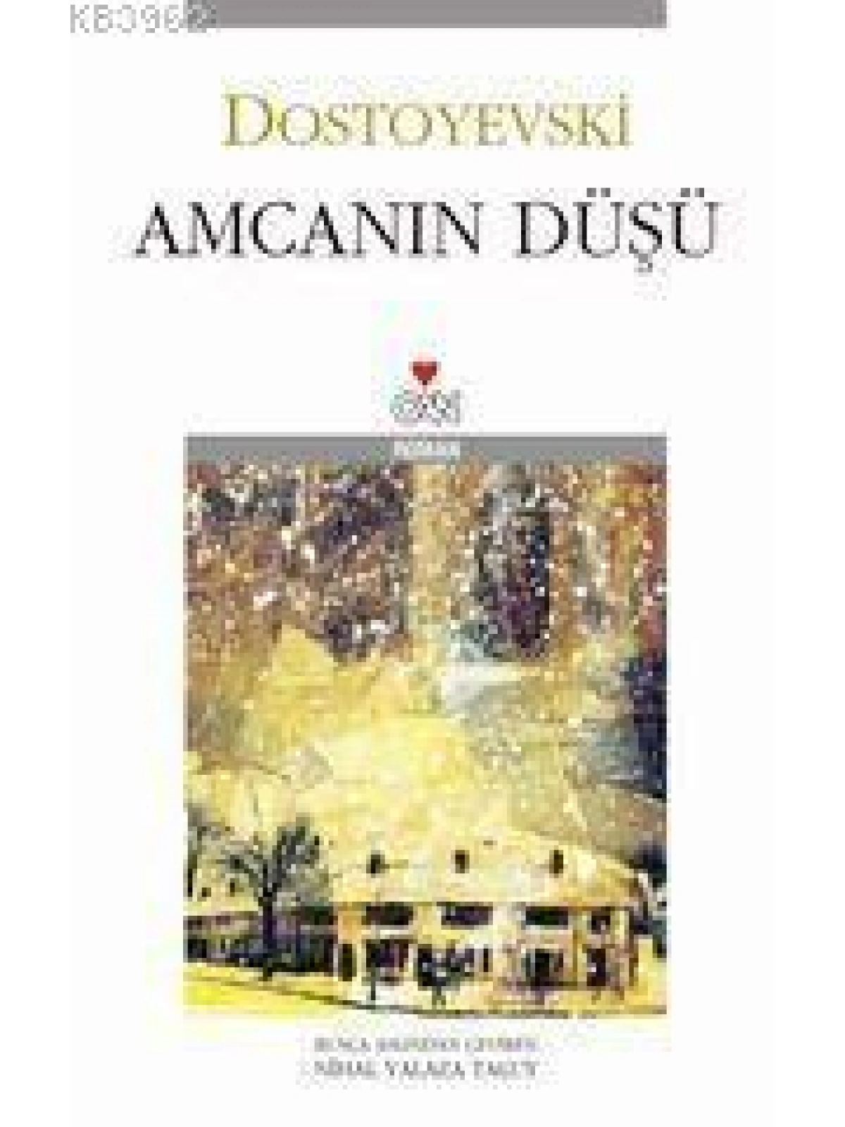 Amcanın Düşü