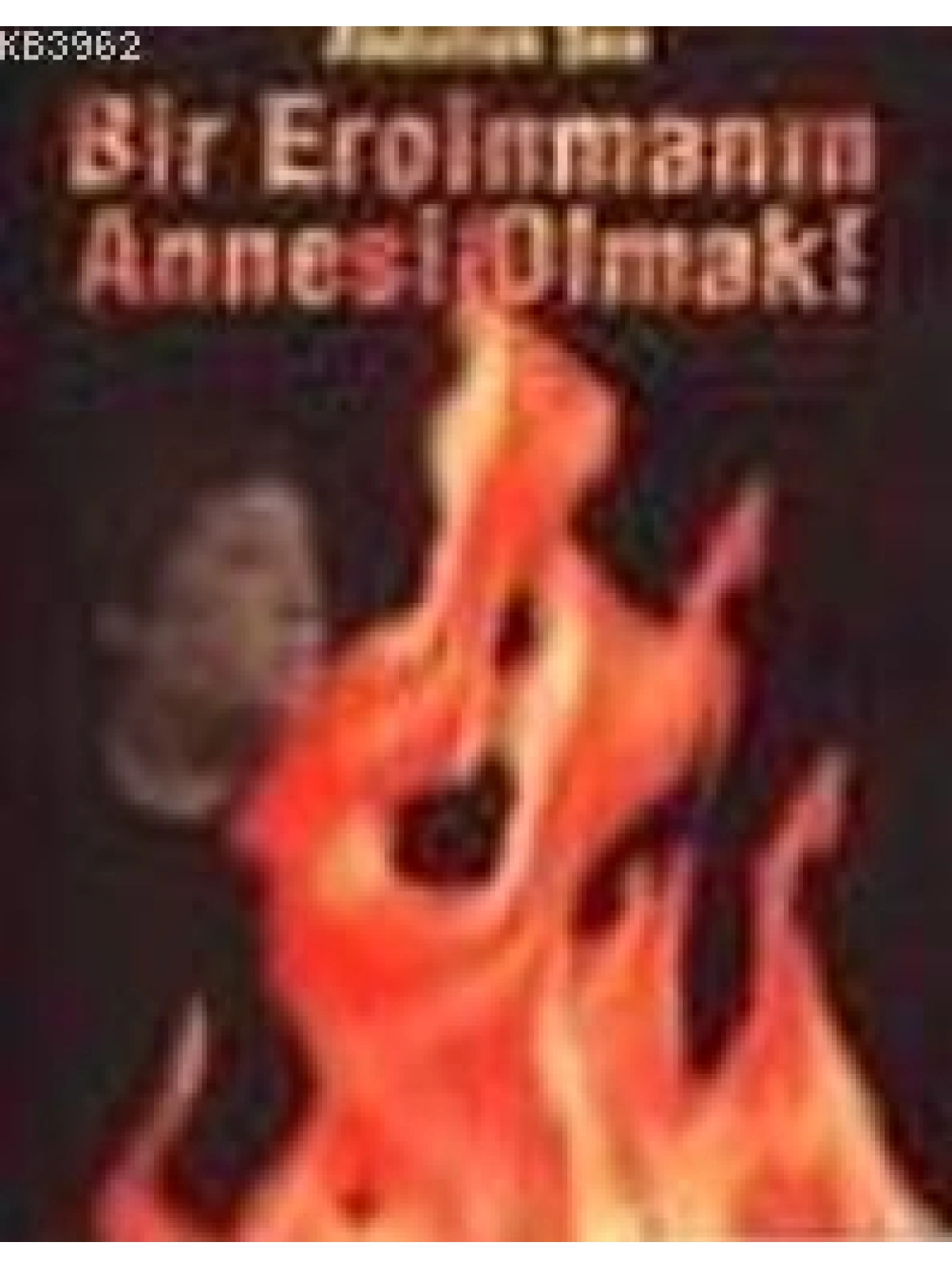 Bir Eroinmanın Annesi Olmak