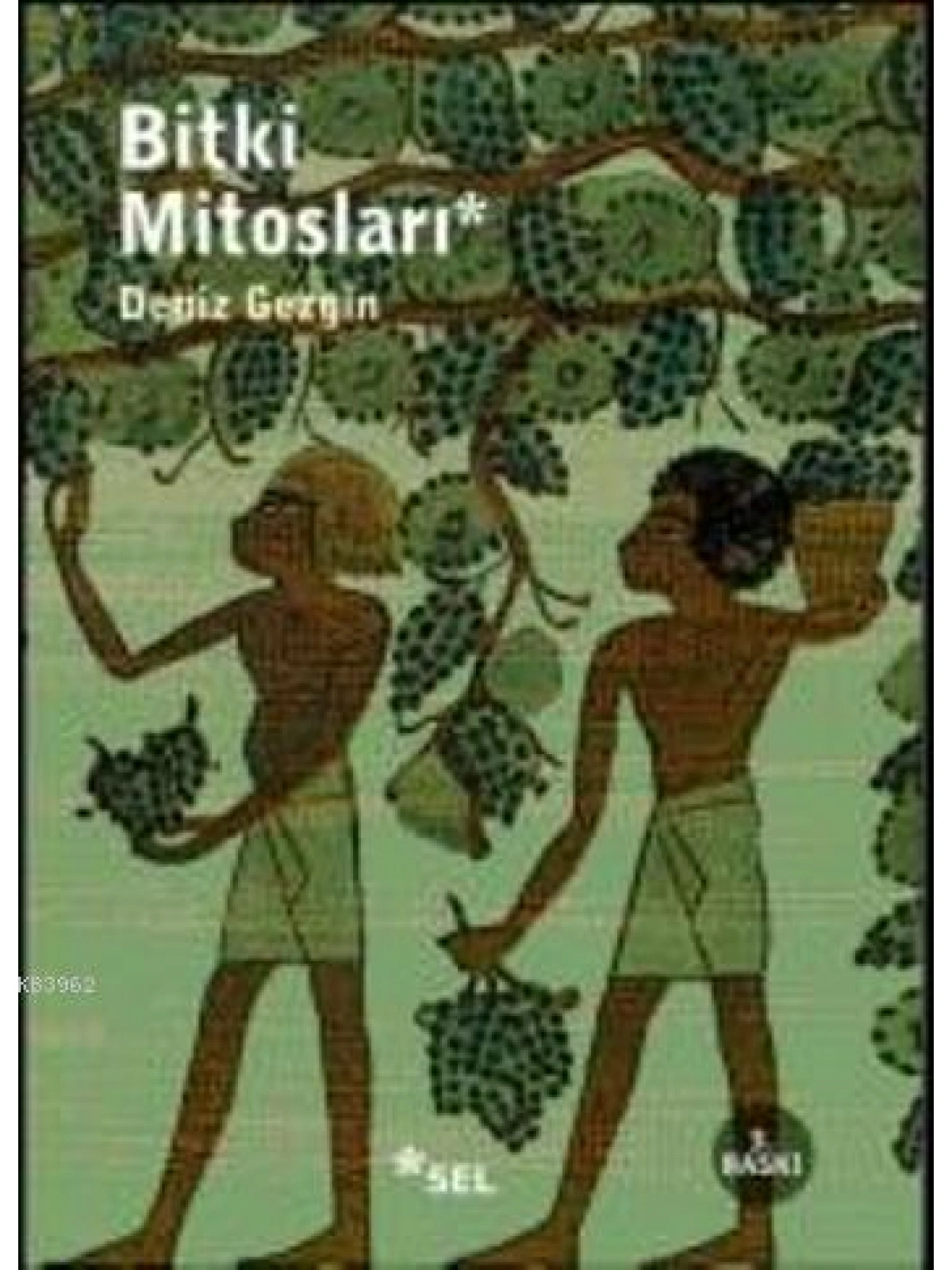 Bitki Mitosları