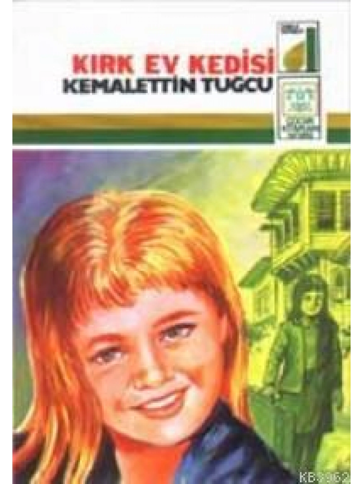 Kırk Ev Kedisi