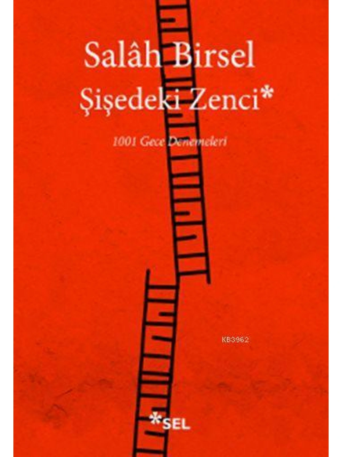 Şişedeki Zenci; 1001 Gece Denemeleri