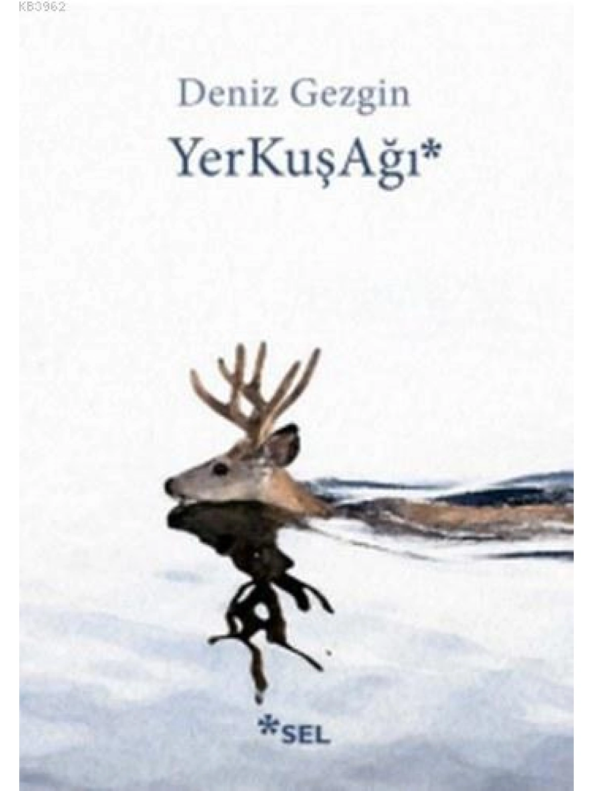 YerKuşAğı