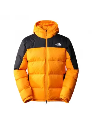 THE NORTH FACE DIABLO KAPÜŞONLU TÜYLÜ CEKET