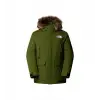The North Face M Mcmurdo Parka Erkek Outdoor Montu