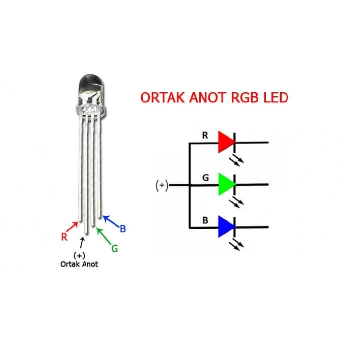5 adet 5mm RGB Led (Ortak Anot)