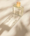 KOTON Erkek Parfüm Wilderness 100 ML