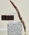 KOTON Erkek Parfüm Wild Fire 100 ML