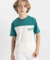 DEFACTO Erkek Çocuk Bisiklet Yaka Renk Bloklu Baskılı Kısa Kollu T-shirt