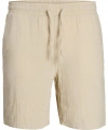 Jack & Jones Erkek Şort
