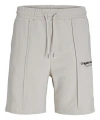 JACK & JONES Erkek Şort
