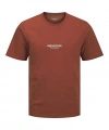 Jack & Jones Erkek T-shirt