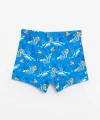 LC Waikiki Erkek Çocuk Mavi Hızlı Kuruyan Uv Korumalı Boxer Mayo