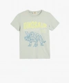 Koton Dinozor Baskılı Pamuklu Gri Erkek Çocuk T-Shirt