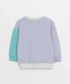 LC Waikiki Bisiklet Yaka Baskılı Erkek Bebek Sweatshirt