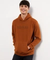 LC Waikiki Kahverengi Uzun Kollu Nakışlı Erkek Kalın Hoodie