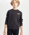 Defacto Baskılı Bisiklet Yaka Sweatshirt Erkek Çocuk