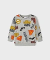 NAME IT Şardonlu Erkek Çocuk Sweatshirt