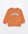 LC Waikiki Bisiklet Yaka Uzun Kollu Baskılı Erkek Bebek Sweatshirt